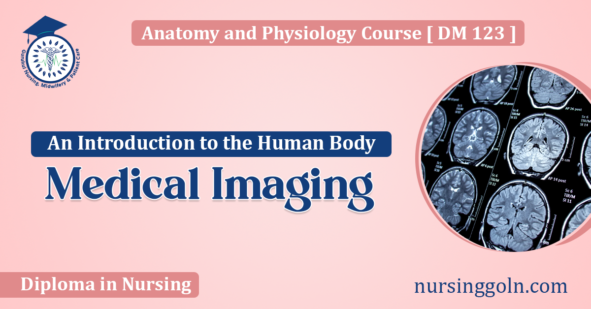 Medical Imaging