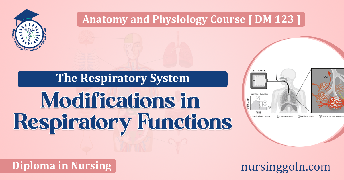 Modifications in Respiratory Functions