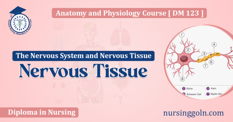 Nervous Tissue