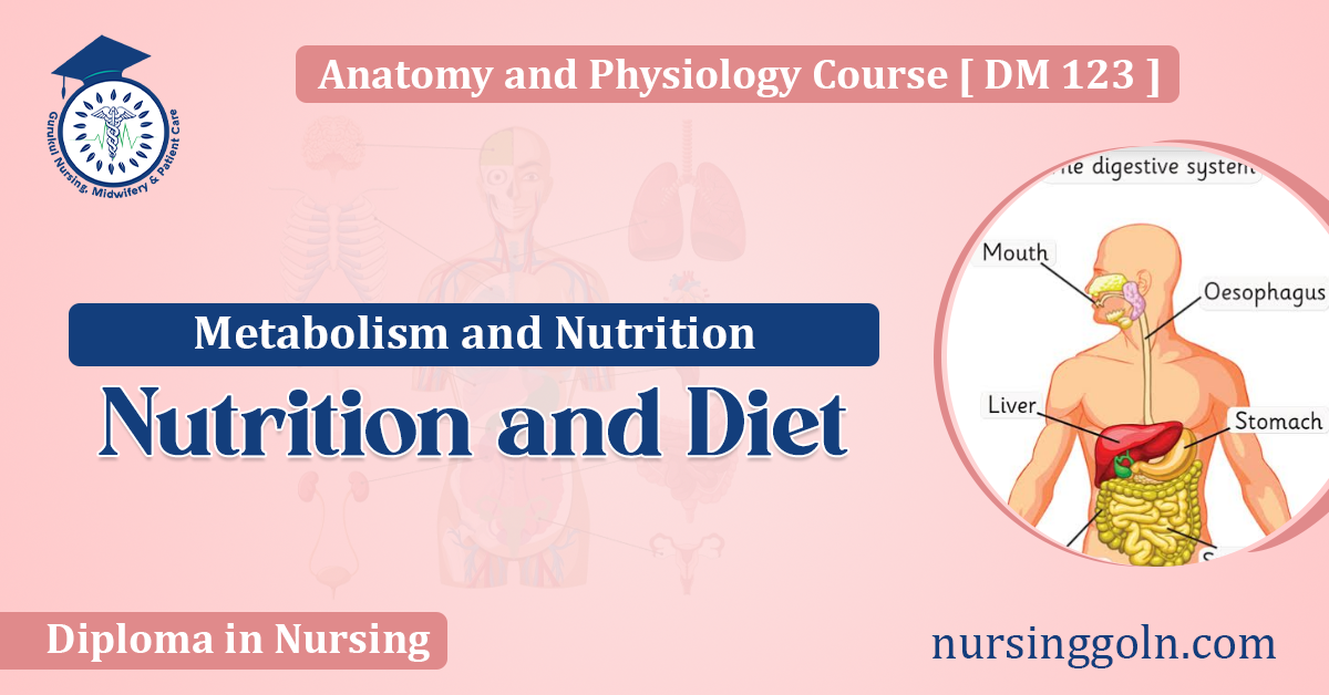Nutrition and Diet