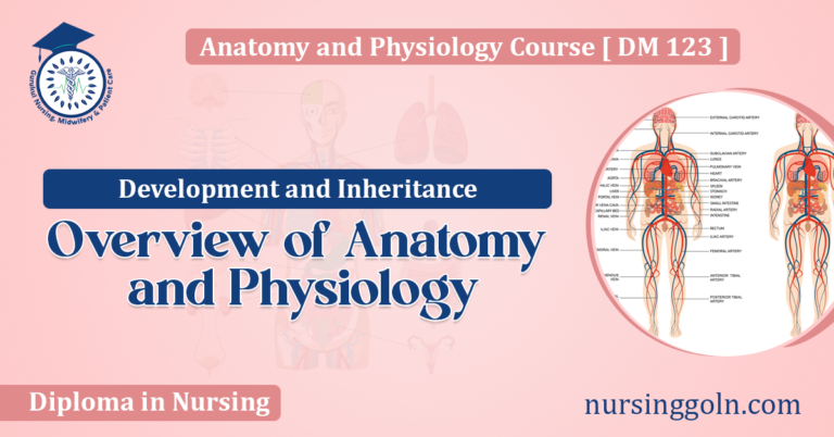 Overview of Anatomy and Physiology