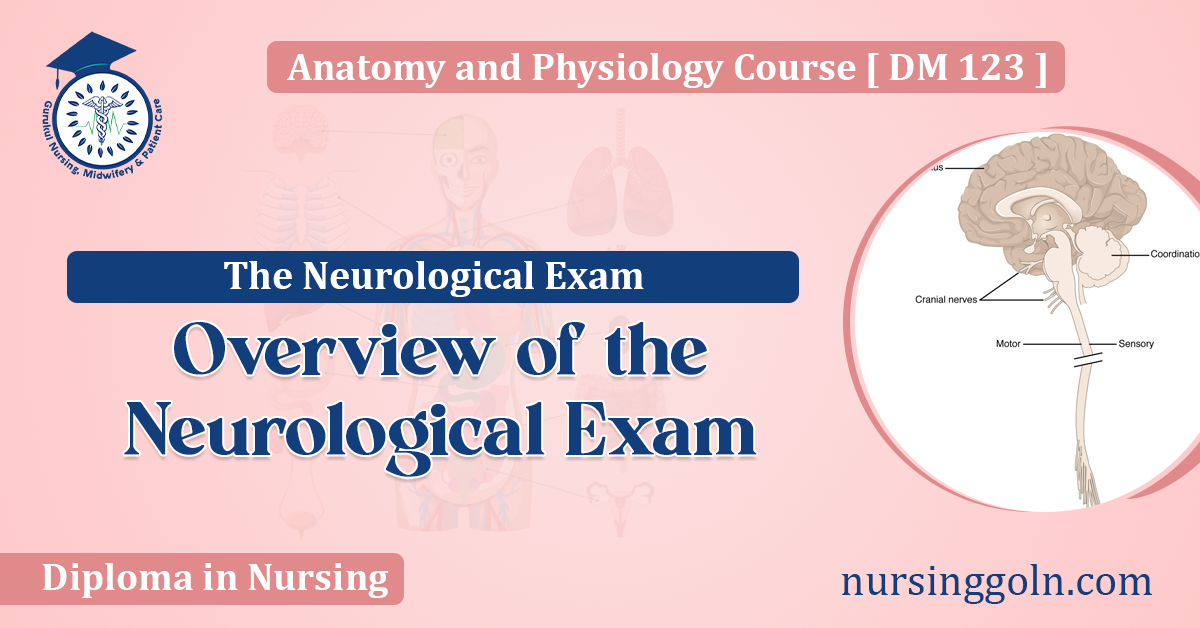 Overview of the Neurological Exam