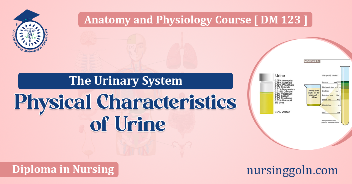 Physical Characteristics of Urine