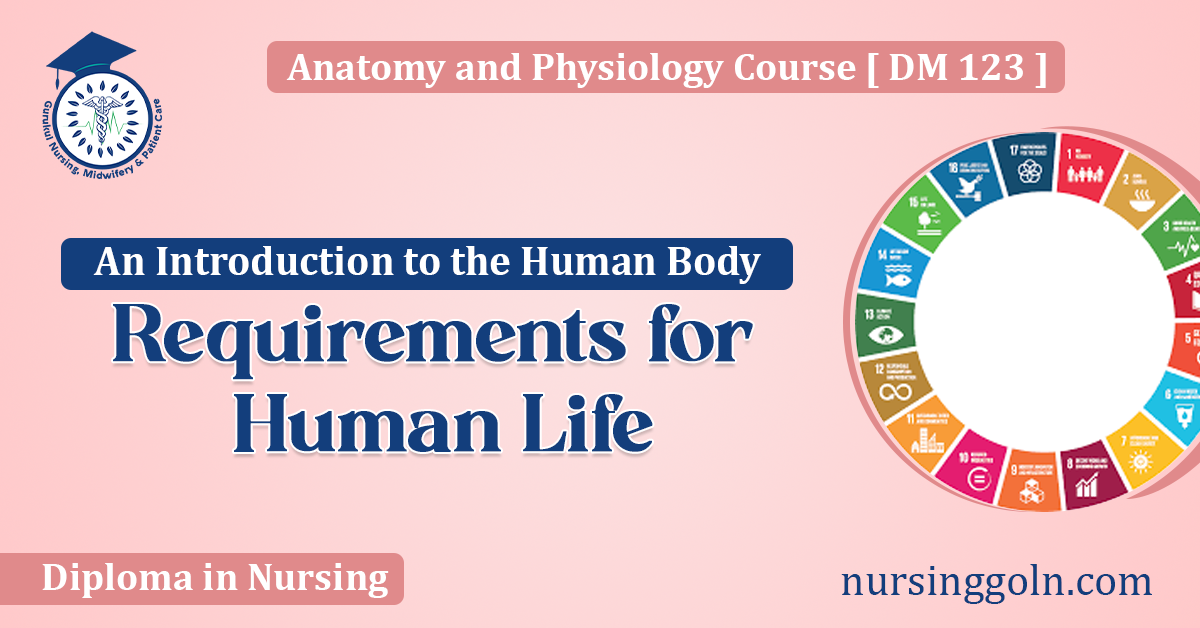 Requirements for Human Life