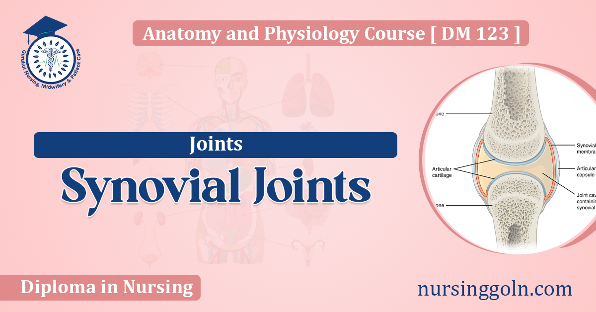 Synovial Joints