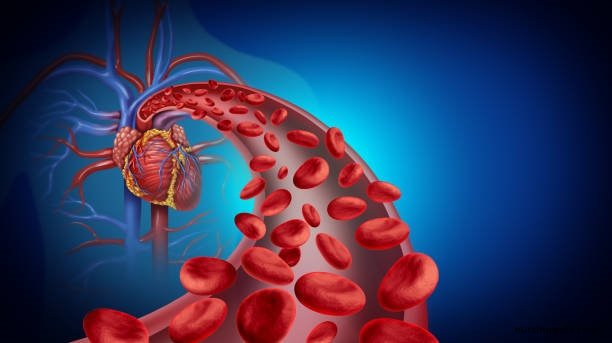 Structure and Function of Blood Vessels: The Cardiovascular System: Blood Vessels and Circulation