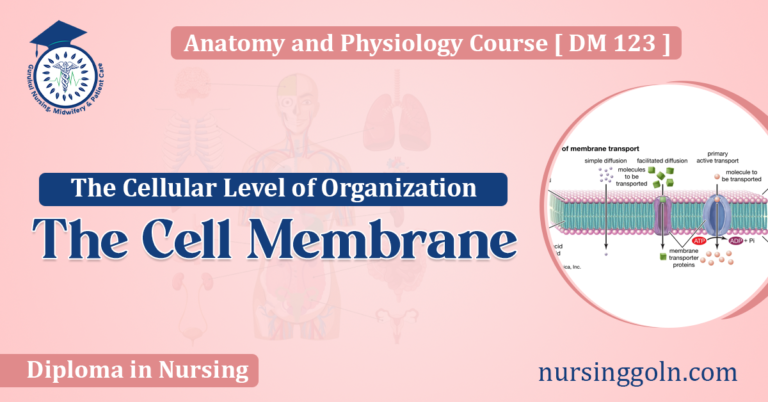 The Cell Membrane