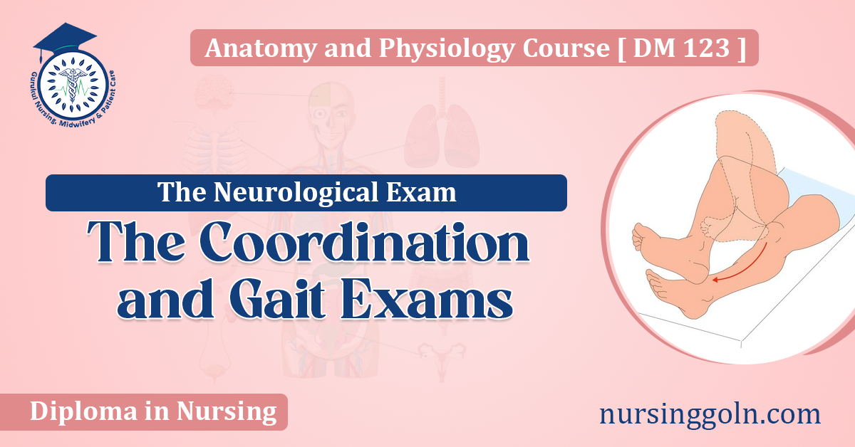 The Coordination and Gait Exams