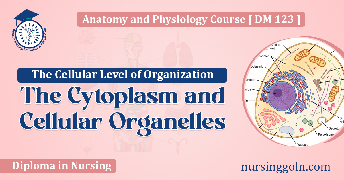 The Cytoplasm and Cellular Organelles