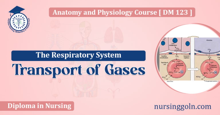 Transport of Gases