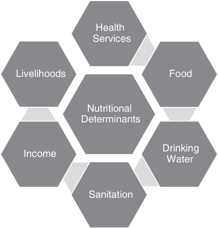 energy and heat balance