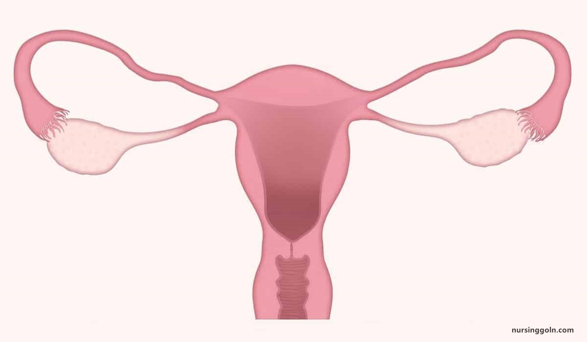 Concept of Amenorrhea | CHAPTER-17 | Medical and Surgical Nursing