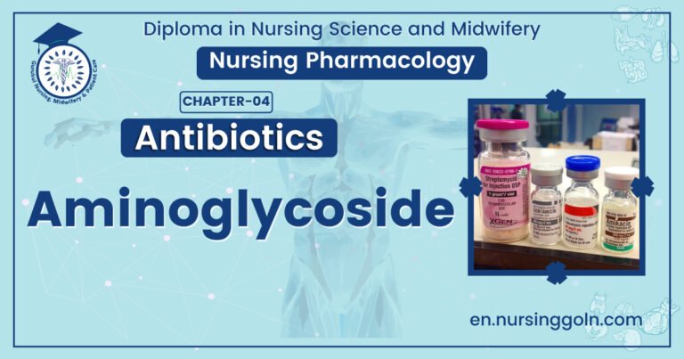 Aminoglycoside