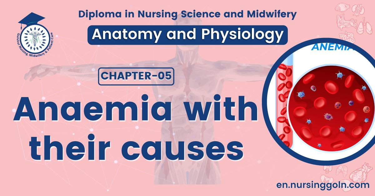 Anaemia with their causes | CHAPTER 5 | Anatomy and Physiology
