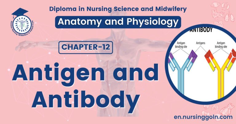 Antigen and antibody | CHAPTER 12 | Anatomy and Physiology