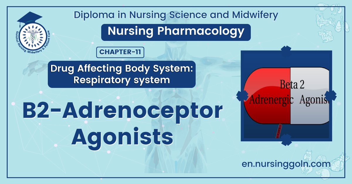 B2-Adrenoceptor Agonists | CHAPTER-11 | Pharmacology