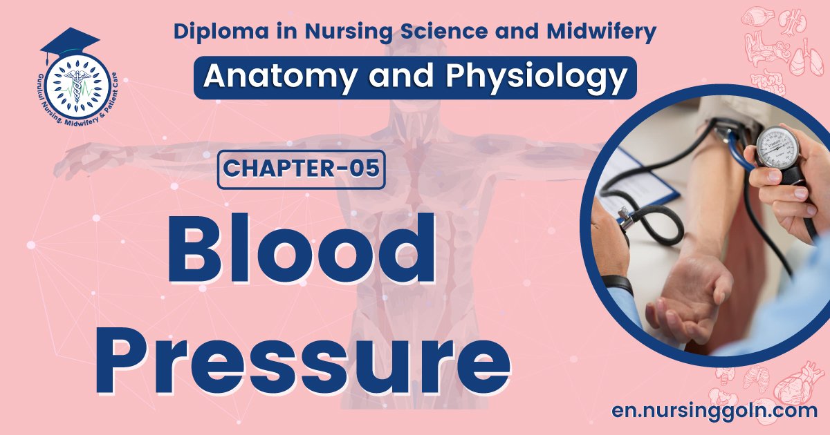 Concept about Blood pressure | CHAPTER 5 | Anatomy and Physiology