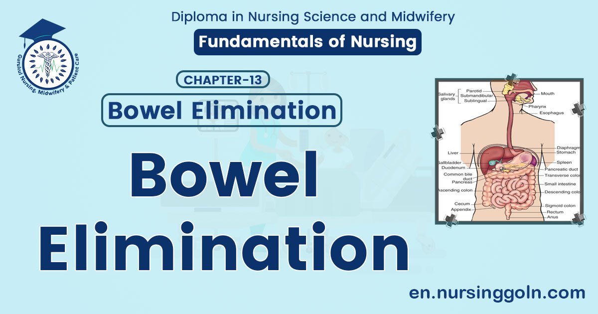 Bowel Elimination | CHAPTER 13 | Fundamentals of Nursing
