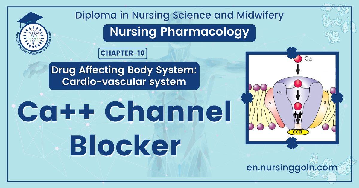 Ca++ Channel Blocker (Ca++ Antagonists) | CHAPTER-10 | Pharmacology