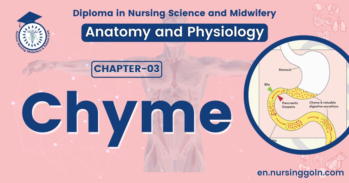 Concept about Chyme | CHAPTER 3 | Anatomy and Physiology