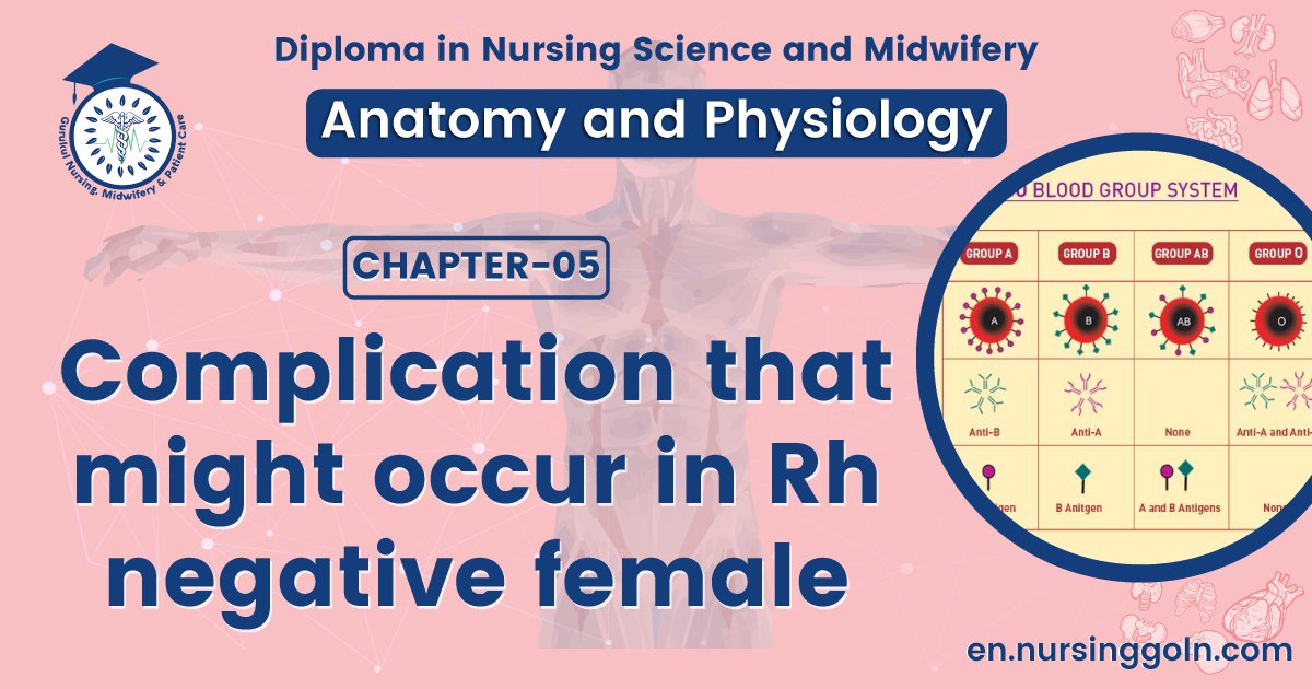 Complication that might occur in Rh negative female | CHAPTER 5 | Anatomy and Physiology