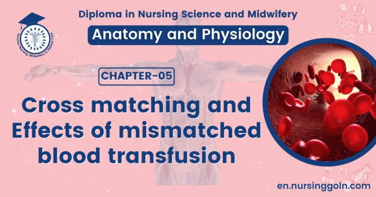 Cross matching and Effects of mismatched blood transfusion | CHAPTER 5 | Anatomy and Physiology