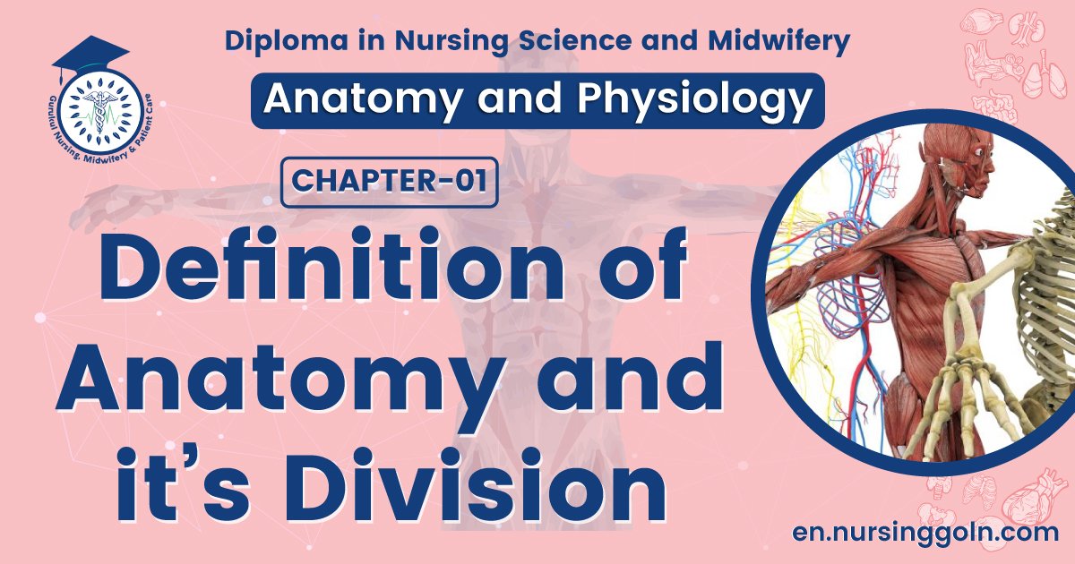 Definition of anatomy and it's division | CHAPTER 1 | Anatomy and physiology