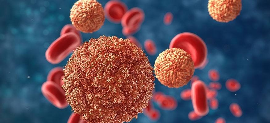 Diseases and Pathogenesis