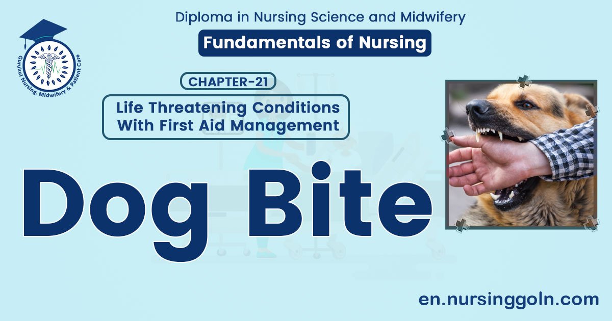 Dog bite | CHAPTER 21 | Fundamentals of Nursing