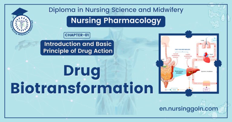 Drug biotransformation