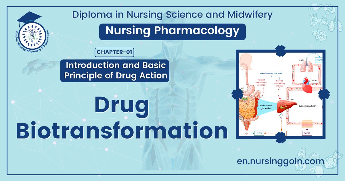 Drug biotransformation