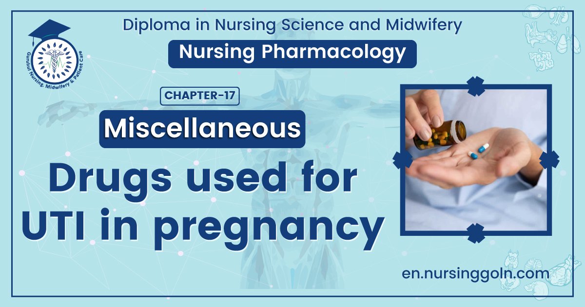 Drugs used for UTI in pregnancy