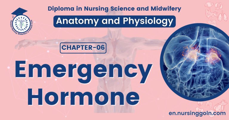 Emergency hormone | CHAPTER 6 | Anatomy and Physiology