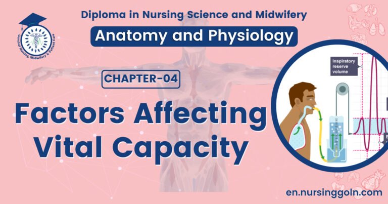 Factors affecting vital capacity | CHAPTER 4 | Anatomy and Physiology