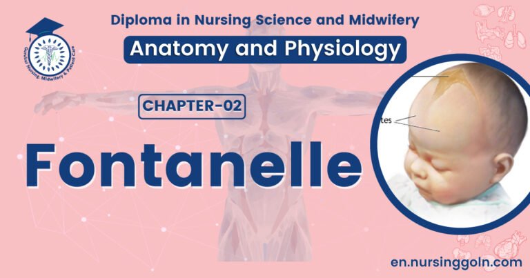 Concept about Fontanelle | CHAPTER 2 | Anatomy and Physiology