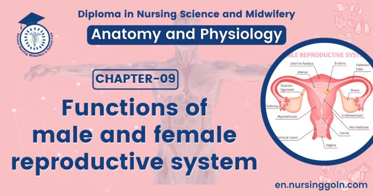 Functions of male and female reproductive system