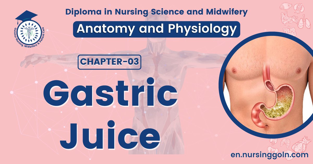 Gastric juice | CHAPTER 3 | Anatomy and Physiology