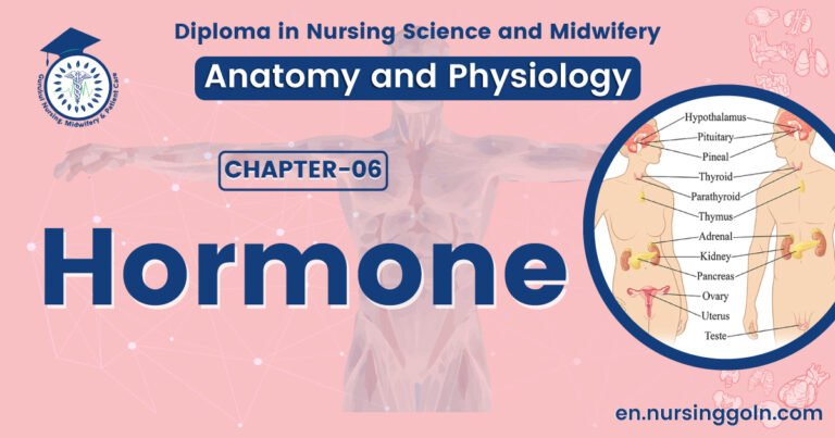 Concept about Hormone | CHAPTER 6 | Anatomy and Physiology