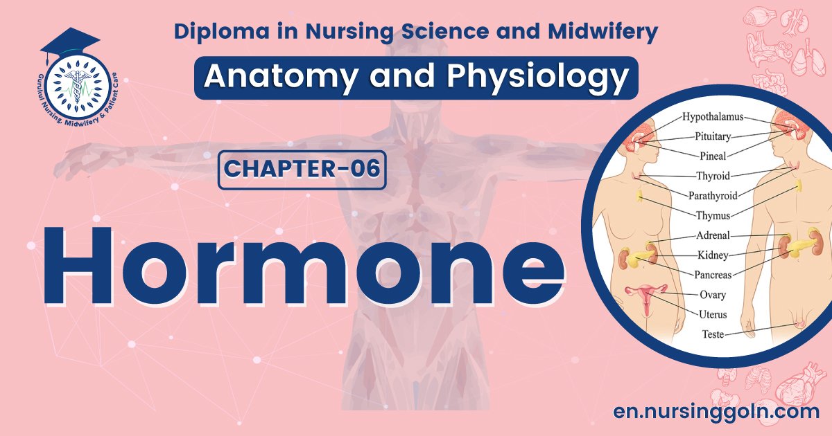 Concept about Hormone | CHAPTER 6 | Anatomy and Physiology