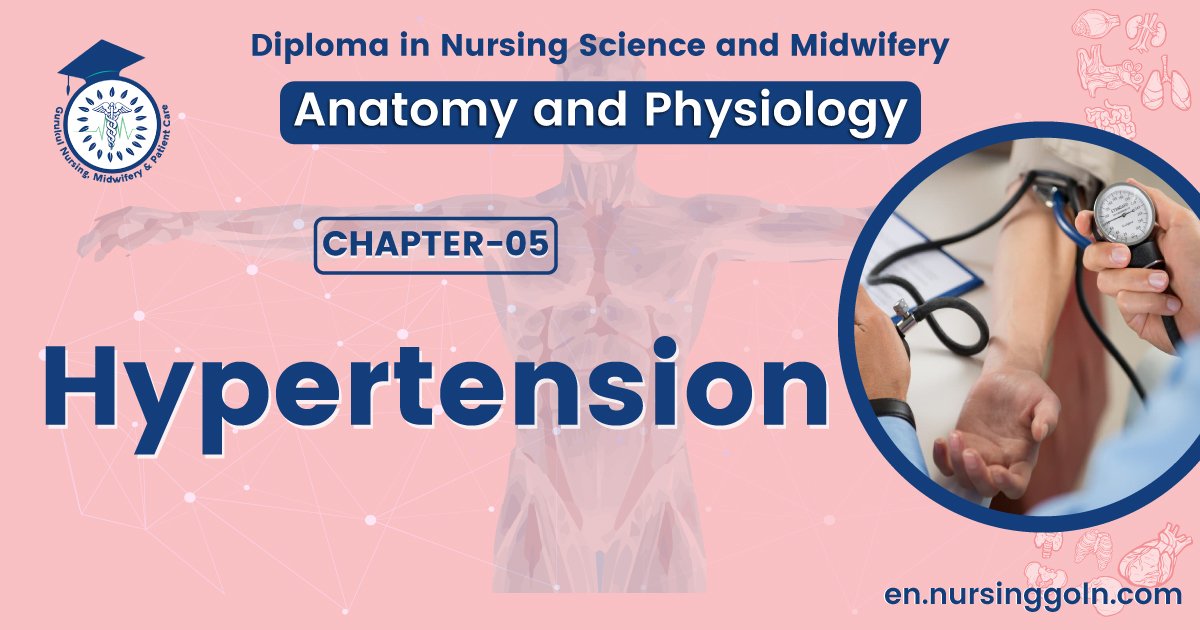 Concept about Hypertension | CHAPTER 5 | Anatomy and Physiology