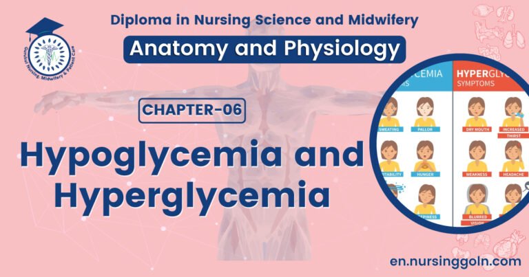 Hypoglycemia and Hyperglycemia | CHAPTER 6 | Anatomy and Physiology