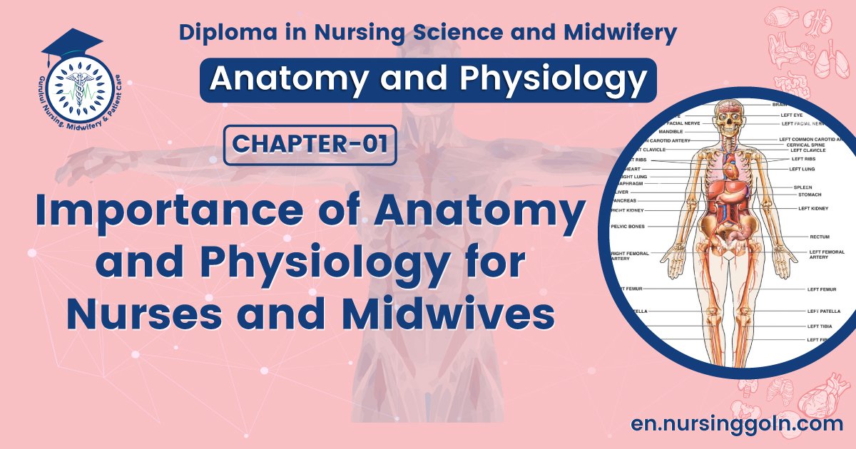 Importance of Anatomy and Physiology for Nurses and Midwives | CHAPTER 1 | Anatomy and physiology
