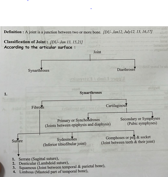 Review of Anatomy & Physiology of Musculoskeletal System | CHAPTER 2 | Orthopedic Nursing