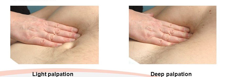 definition of palpation