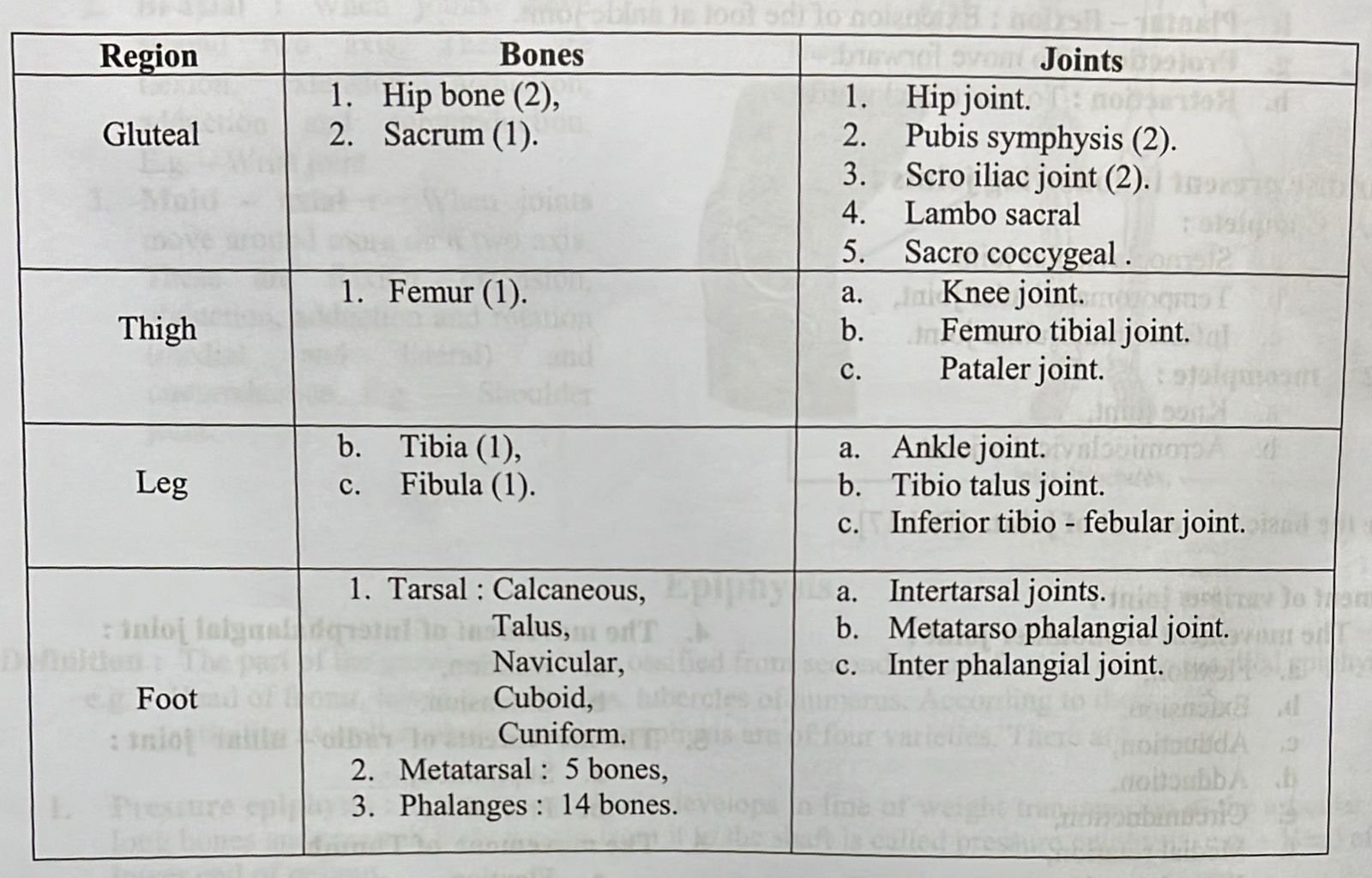 Review of Anatomy & Physiology of Musculoskeletal System | CHAPTER 2 | Orthopedic Nursing