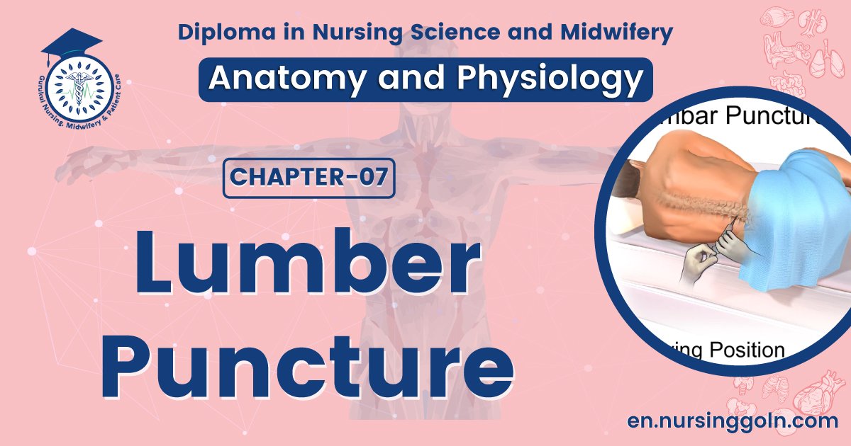 Concept about Lumber puncture | CHAPTER 7 | Anatomy and Physiology