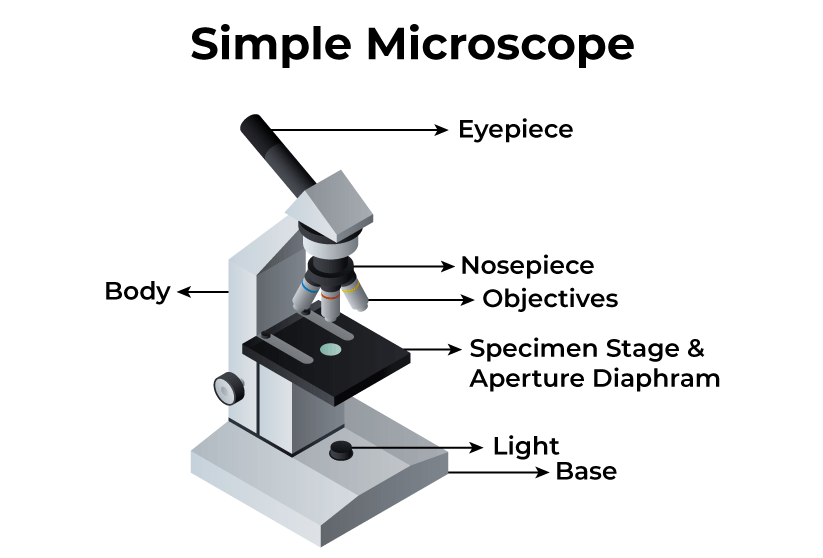 introduction to microscope
