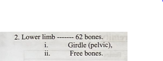 Review of Anatomy & Physiology of Musculoskeletal System | CHAPTER 2 | Orthopedic Nursing