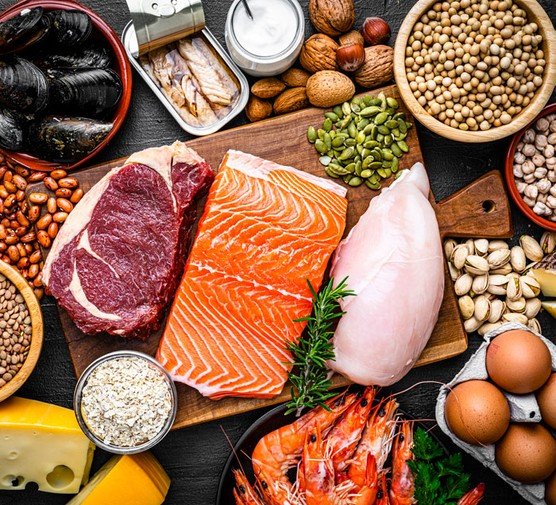 Concept about Protein | CHAPTER 1 | Nutrition and Dietetics