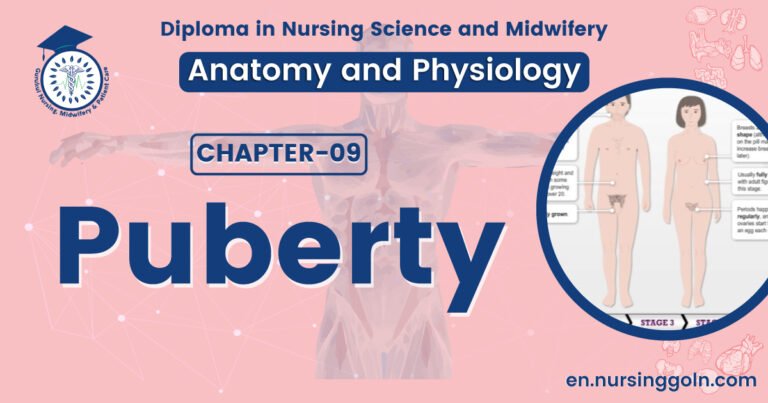 Concept about Puberty | CHAPTER 9 | Anatomy and Physiology